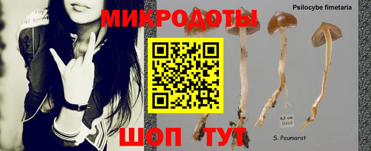 Псилоцибиновые грибы прущие грибы  Вход с VPN  Старая Купавна 